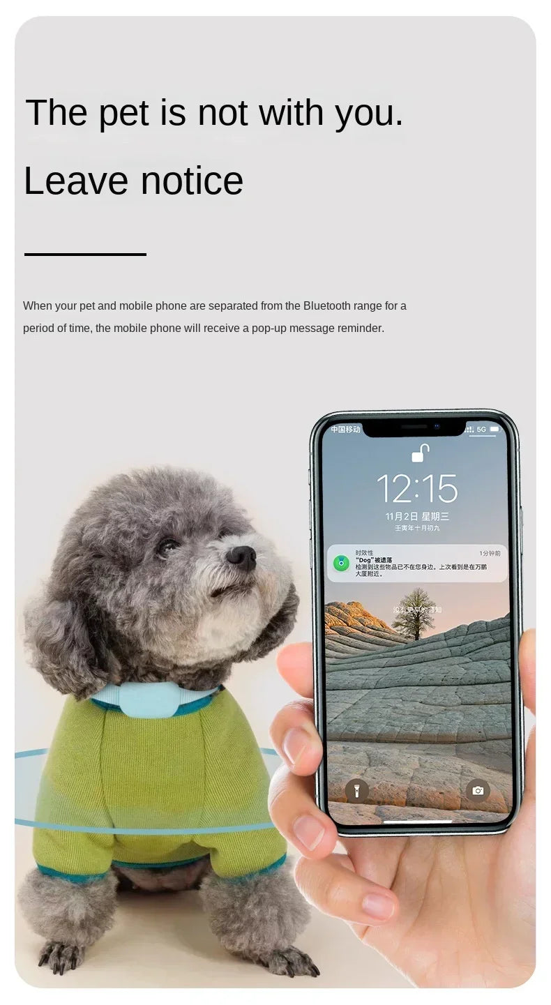 Roaring Mini GPS Pet Tracker Collar
