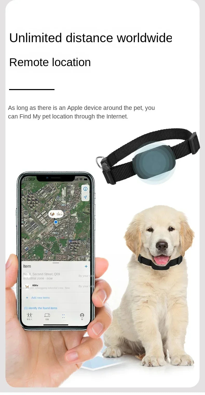 Roaring Mini GPS Pet Tracker Collar