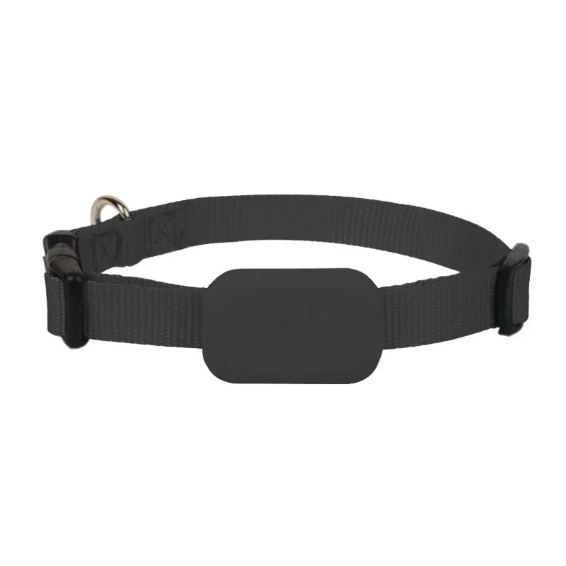 Roaring Mini GPS Pet Tracker Collar
