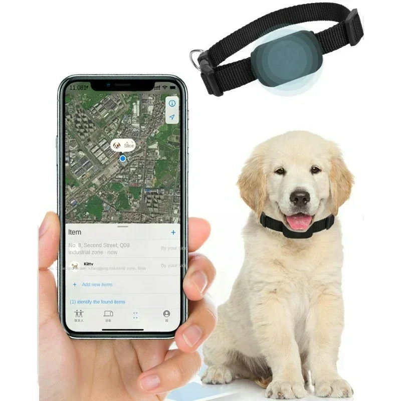 Roaring Mini GPS Pet Tracker Collar