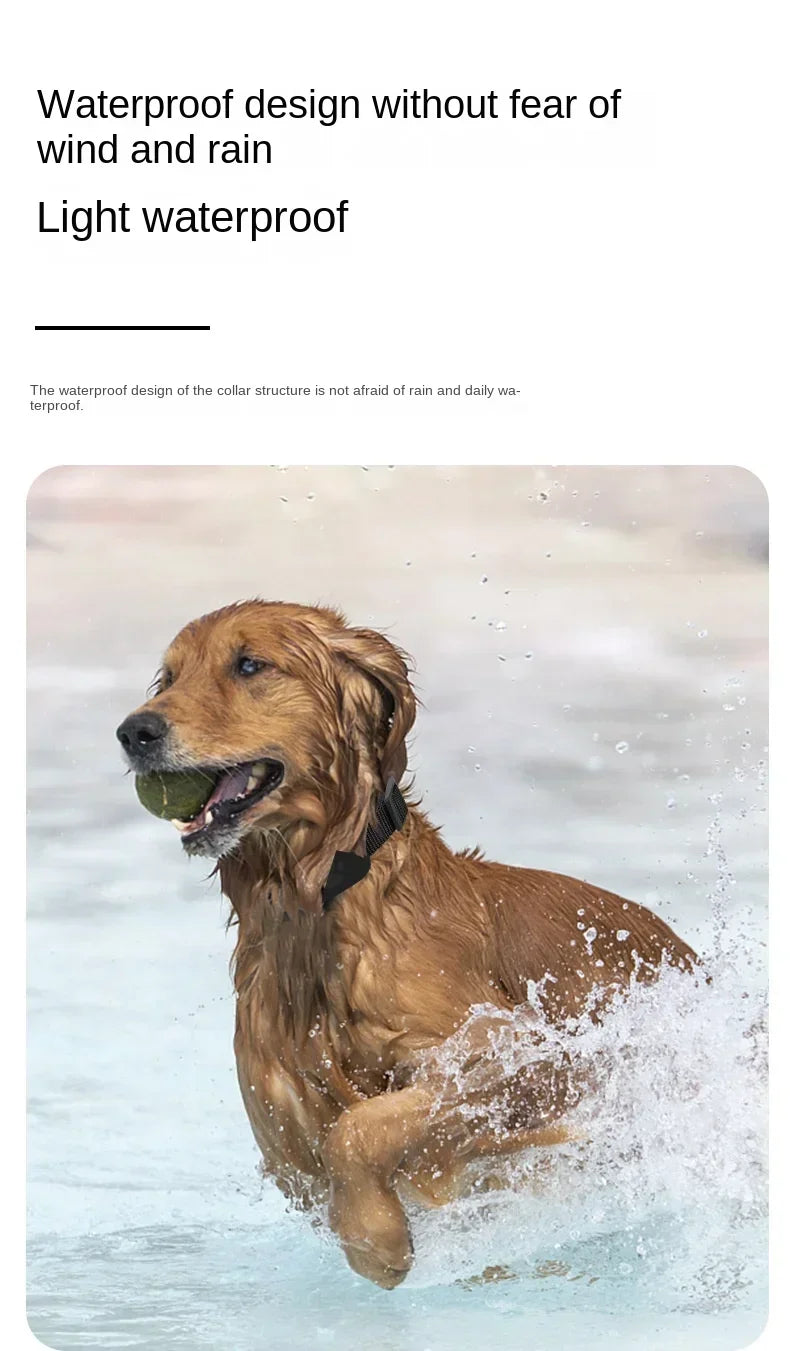 Roaring Mini GPS Pet Tracker Collar
