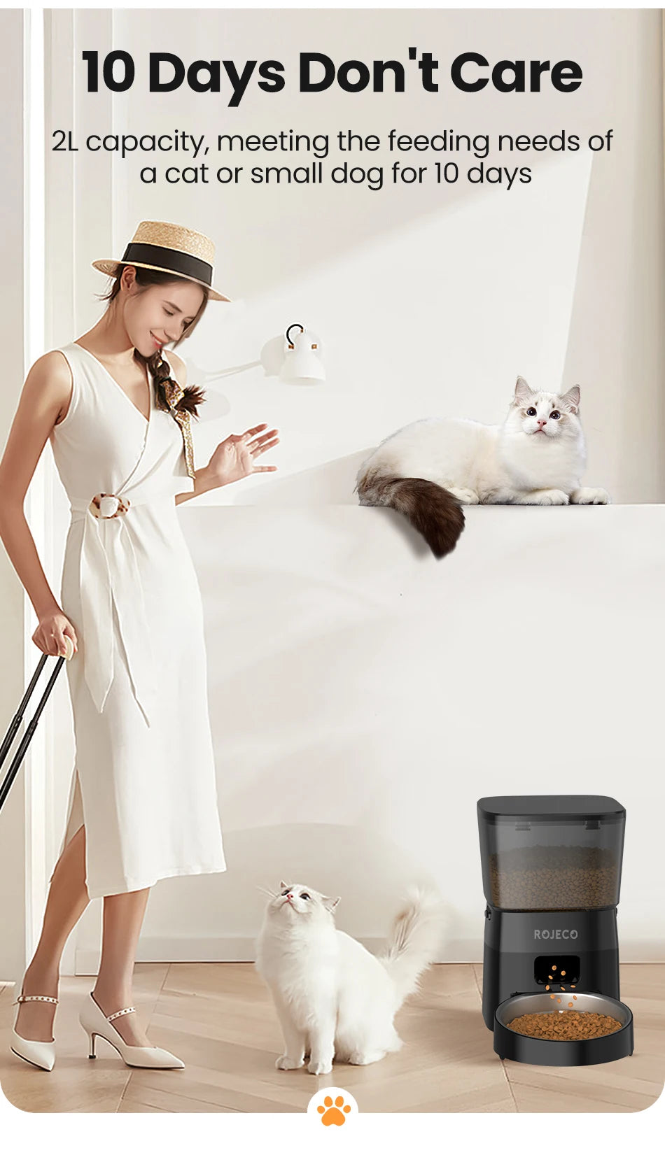 Roaring Automatic Pet Feeder